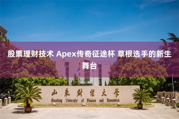 股票理财技术 Apex传奇征途杯 草根选手的新生舞台