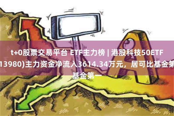 t+0股票交易平台 ETF主力榜 | 港股科技50ETF(513980)主力资金净流入3614.34万元，居可比基金第一