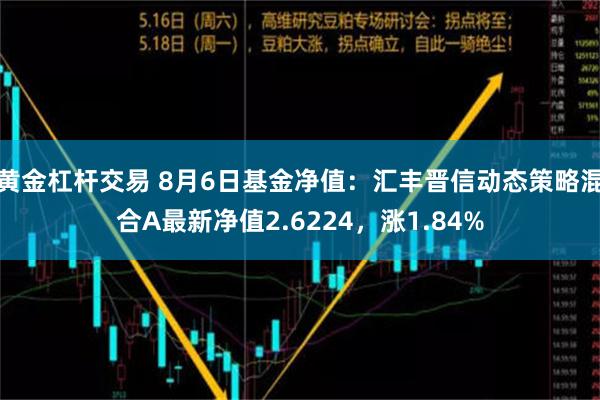 黄金杠杆交易 8月6日基金净值：汇丰晋信动态策略混合A最新净值2.6224，涨1.84%