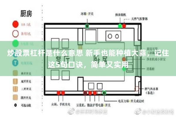 炒股票杠杆是什么意思 新手也能种植大蒜，记住这5句口诀，简单又实用