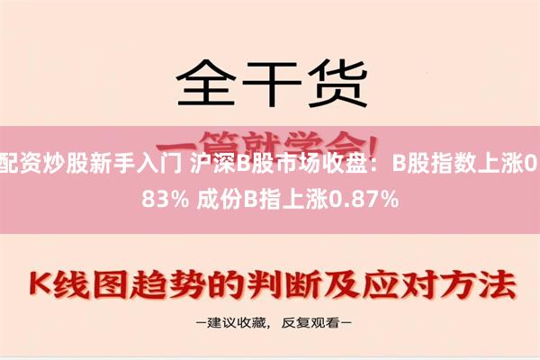 配资炒股新手入门 沪深B股市场收盘：B股指数上涨0.83% 成份B指上涨0.87%