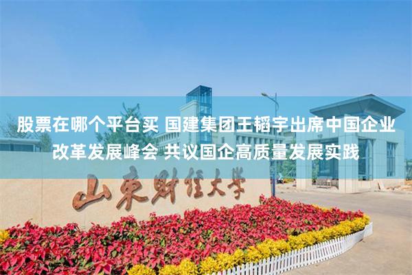 股票在哪个平台买 国建集团王韬宇出席中国企业改革发展峰会 共议国企高质量发展实践